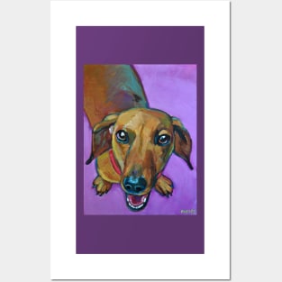 Cute SMILING DACHSHUND Posters and Art